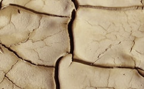 ��ɺ��l����21�����}�ž����Ĕ�(sh��)ֵ����о�