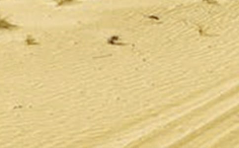 NOAA/AVHRR�Y���ں�����ʡ�ɺ��O(ji��n)�y�еđ�(y��ng)���о�