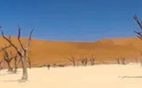 中梨1號(hào)在干旱沙區(qū)的引種表現(xiàn)