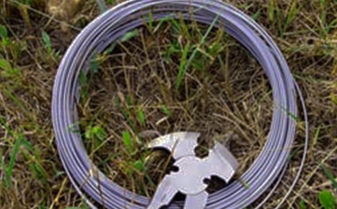 �ߡ�䓽z������