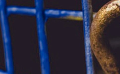 ��F�����Ӿ��ɵĵ��x��� -�����x���