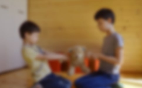 實(shí)用的我的哥哥寫人作文七篇