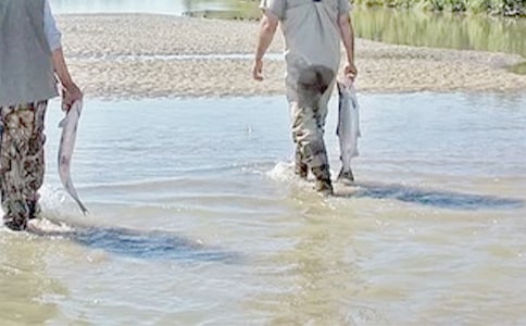 �ҵ��F�炃����550��