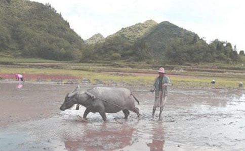 ͯȤ����ţ�ā�(l��i)���������w��ë�����ͺ��������Pѩ���W�\(y��n)����ԭ֮������ٝ(��һ��(d��ng)��)