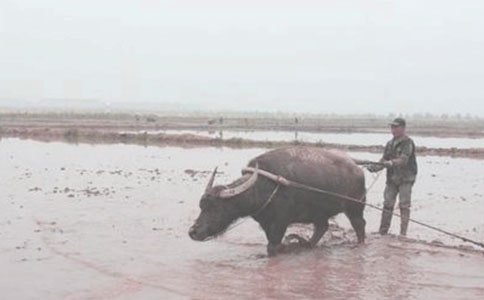 �T���Ђ�(g��)ϲ����-ӛȫ���Zʳ���a(ch��n)����܊