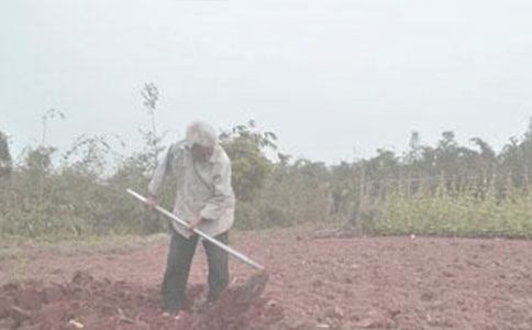 �T���Ђ�ϲ����-ӛȫ���Zʳ���a(ch��n)����܊