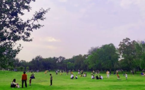 【集合】公園游記作文3篇