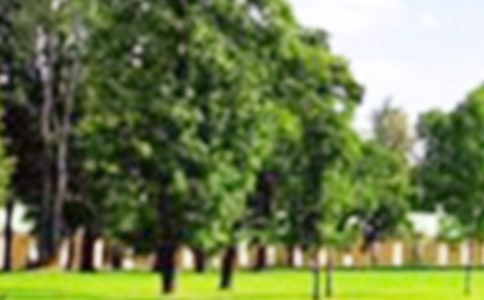 ���@��ӛ���ģ��؂䣩