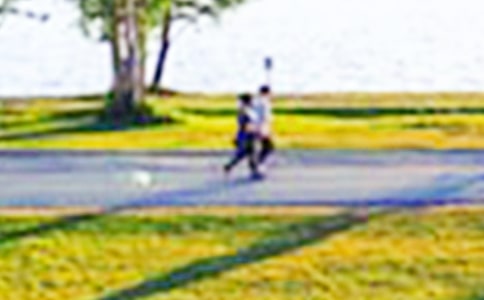 公園游記作文(匯編4篇)