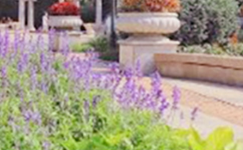 [��(j��ng)��]���@��ӛ����9ƪ