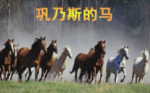 《鞏乃斯的馬》教學(xué)設(shè)計..