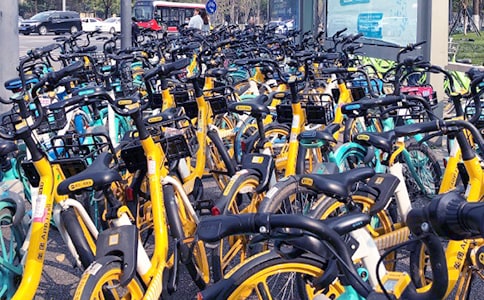 生活中的美共享單車作文