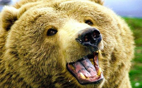 ����׃Ӣ�ۃ�(y��u)������