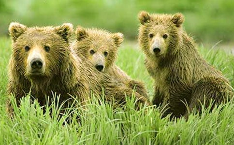 ��������450��