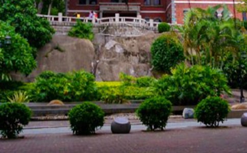 鼓浪嶼之行作文