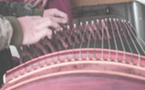 �Ź~С��������