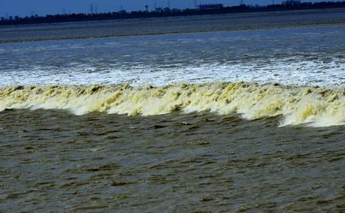 (��)�P(gu��n)���^��������4ƪ