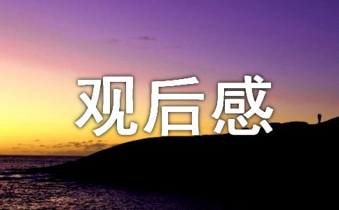 《閃閃的紅星》觀后感