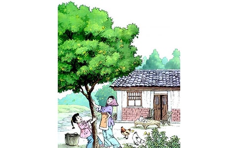 ��������