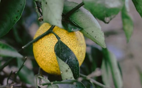 ���@�C���˃�(y��u)������