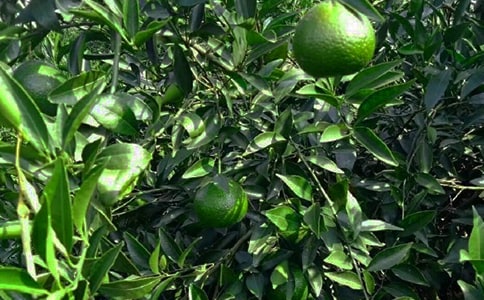 ���@������300�ֺϼ�8ƪ