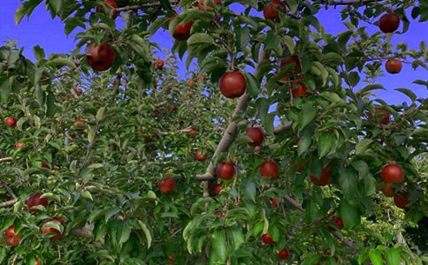 ���@��ӛ����[��(y��u)��]