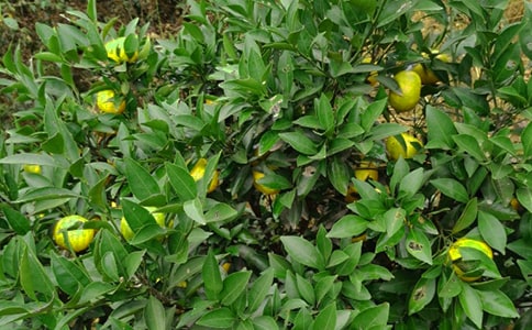 ���@�C(j��)����