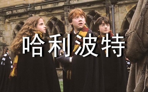 哈利波特簡(jiǎn)介900字作文