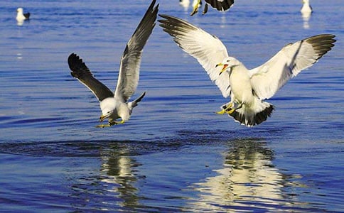 ι���t������