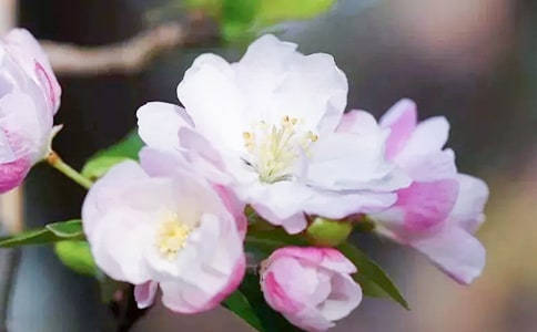 �^�캣�Ļ����ģ����x11ƪ��