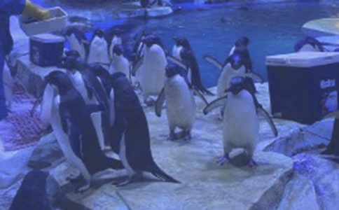 ���󹫈@��ӛ���ķ���