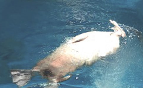 ���󹫈@��ӛ����[���T]