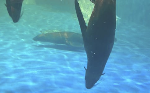 �O�غ��󹫈@��ӛ���ģ�ͨ��15ƪ��