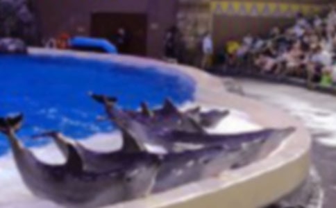 ����������800��