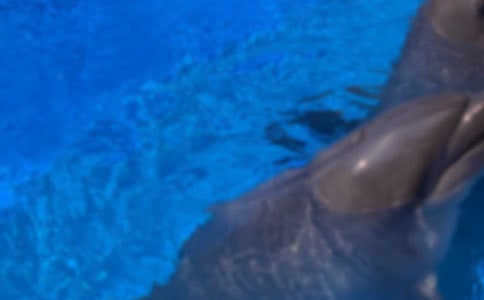 �P(gu��n)�ں�������ģ����x29ƪ��