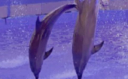 ����Ěw��-�����������^�������450��