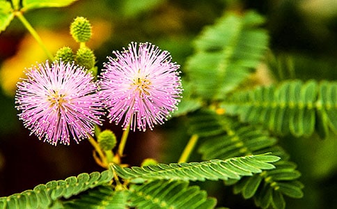 �^����ӛ���߲�