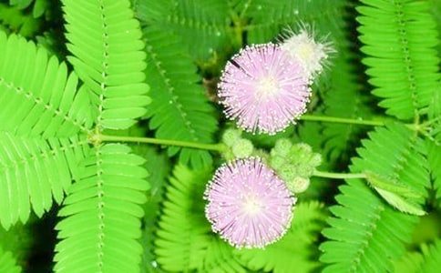 ���߲��^����ӛ���t