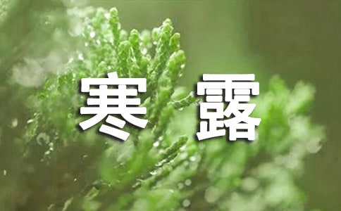 關(guān)于二十四節(jié)氣寒露作文
