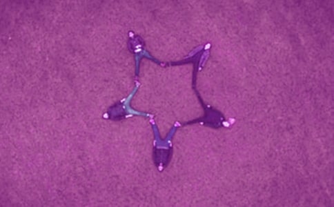 �o���ѵ��´��R�~