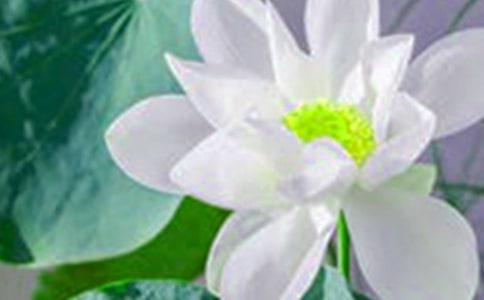 �P�����պɻ����꼉����