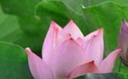 ����һ��ɻ��_��(y��u)��ɢ�����p