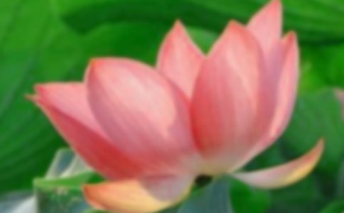 �P(gu��n)�ںɻ������ąR��15ƪ