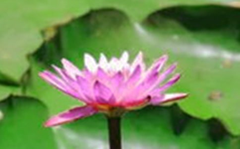 �^��ɻ���ӛ�����x35ƪ��