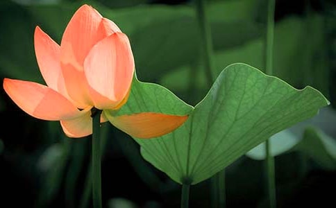 �Ґۺɻ�����200��