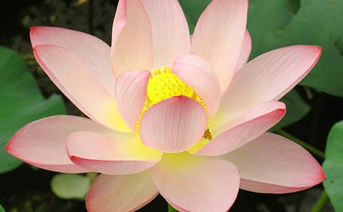 �ɻ��^����ӛ