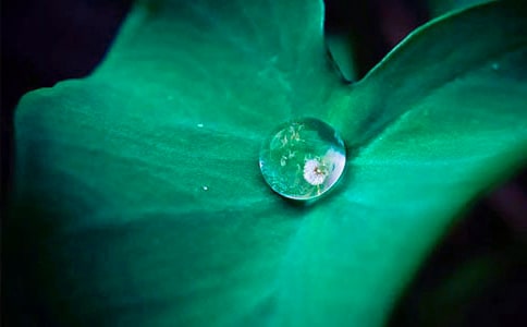 [��Ʒ]�P(gu��n)�ں��~����3ƪ