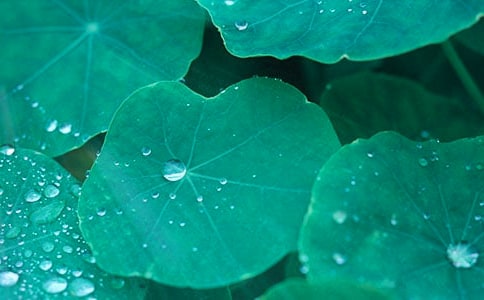 �����~�A�A��