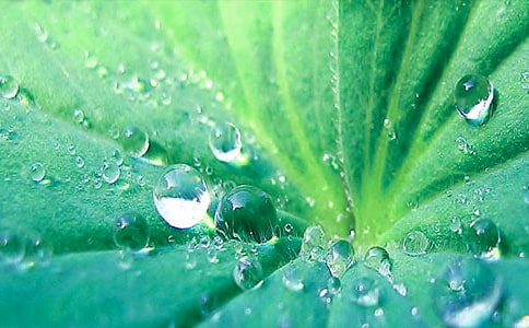 ����ĺ��~ͯԒ��(y��u)�����ģ����x33ƪ��