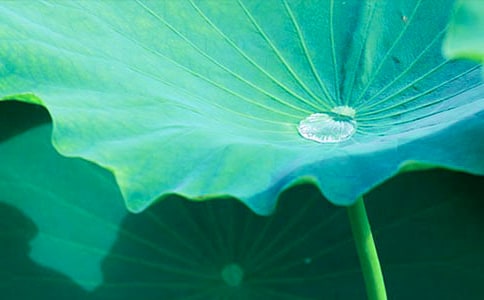 ���~�Ƶ�ĸ��(��i)���ģ�ͨ��10ƪ��